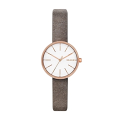 ساعت مچی اسکاژن SKW2644 - skagen watch skw2644  